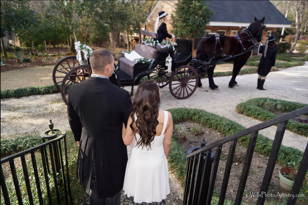 Bride and groom ride in a horse-drawn carriage leaving a house, seen from behind in a garden path.