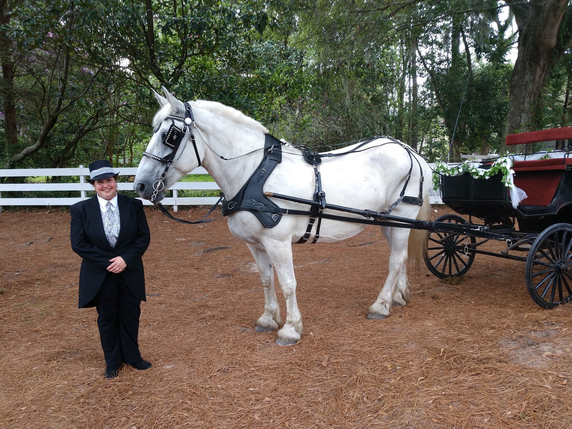 Man standing beside a white horse harnessed to a carriage in a wooded outdoor setting