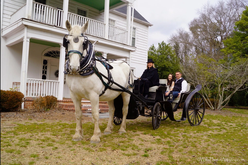 Horse-drawn carriage with two passengers in front of a white house on a grassy lawn.