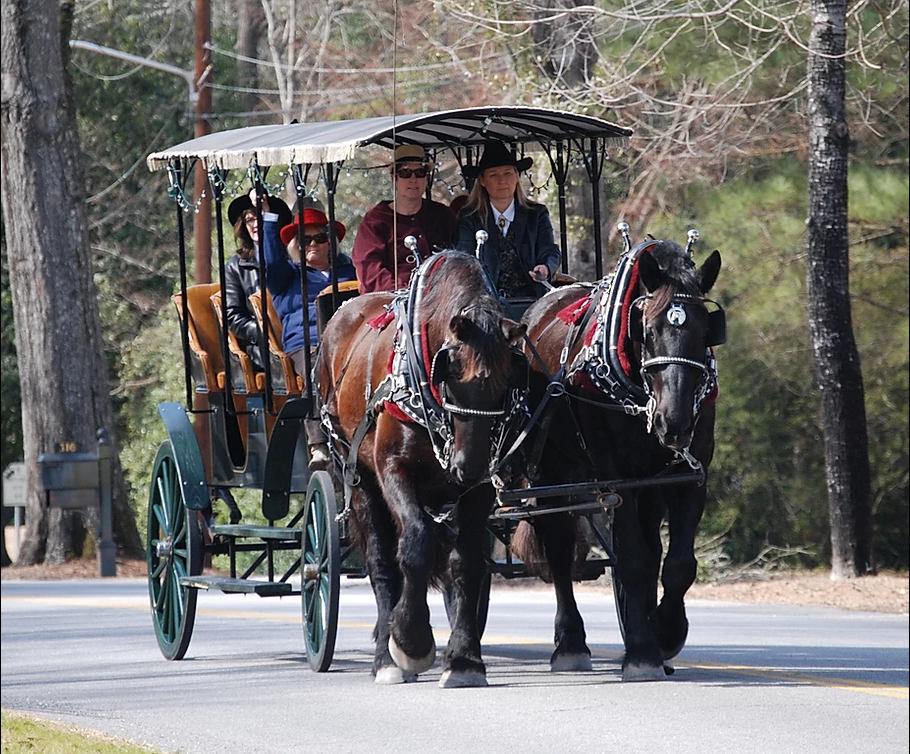 Horse-drawn carriage with passengers driving along a road in a wooded area