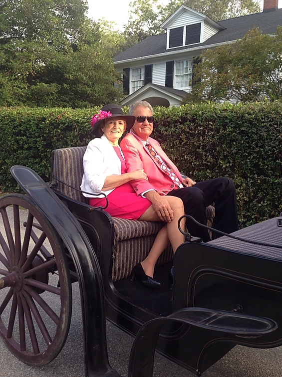 Two people sit in a horse-drawn carriage beside a hedge and house.