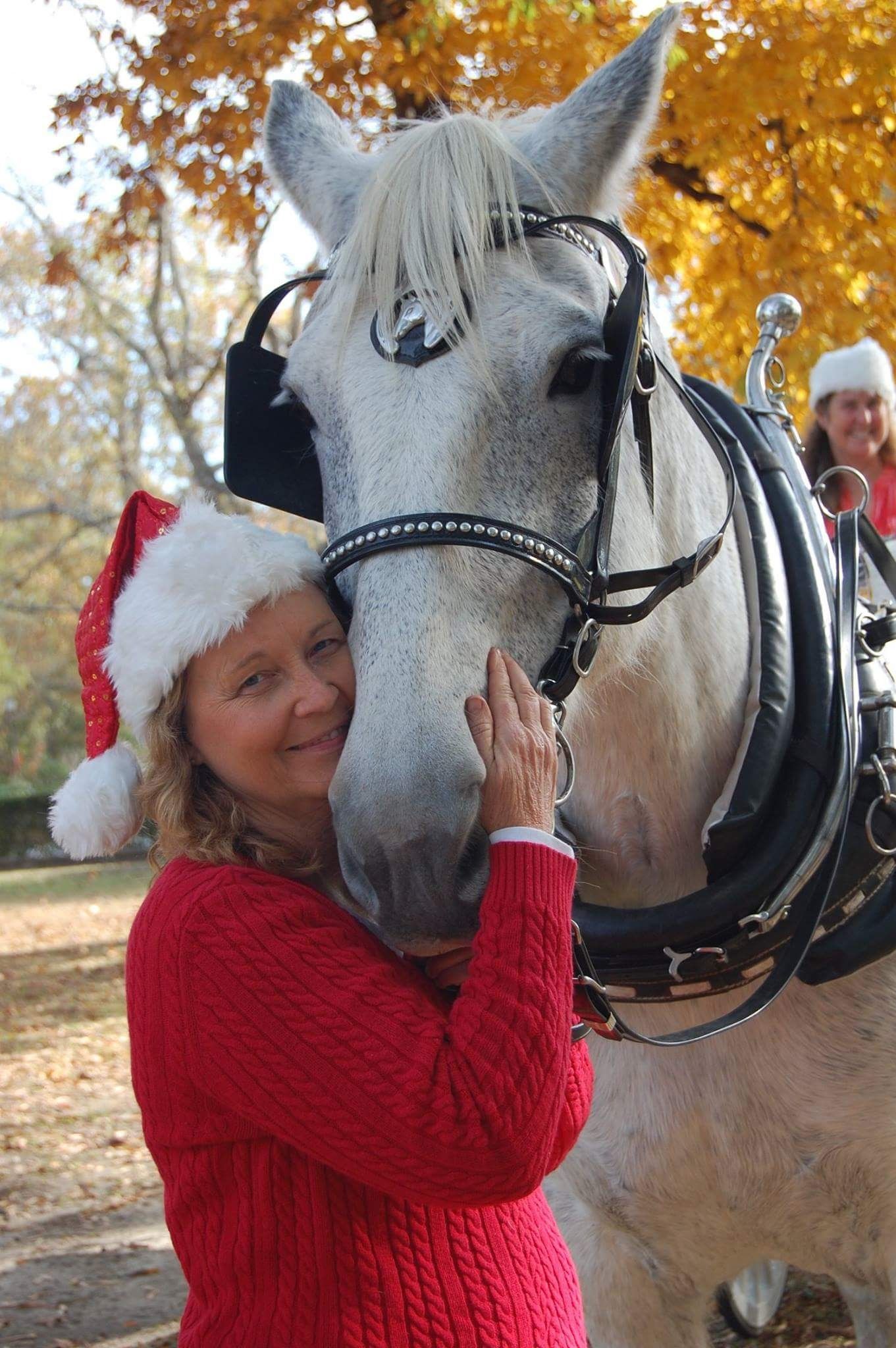 Woman in red Santa hat hugs a white horse outdoors amid autumn leaves