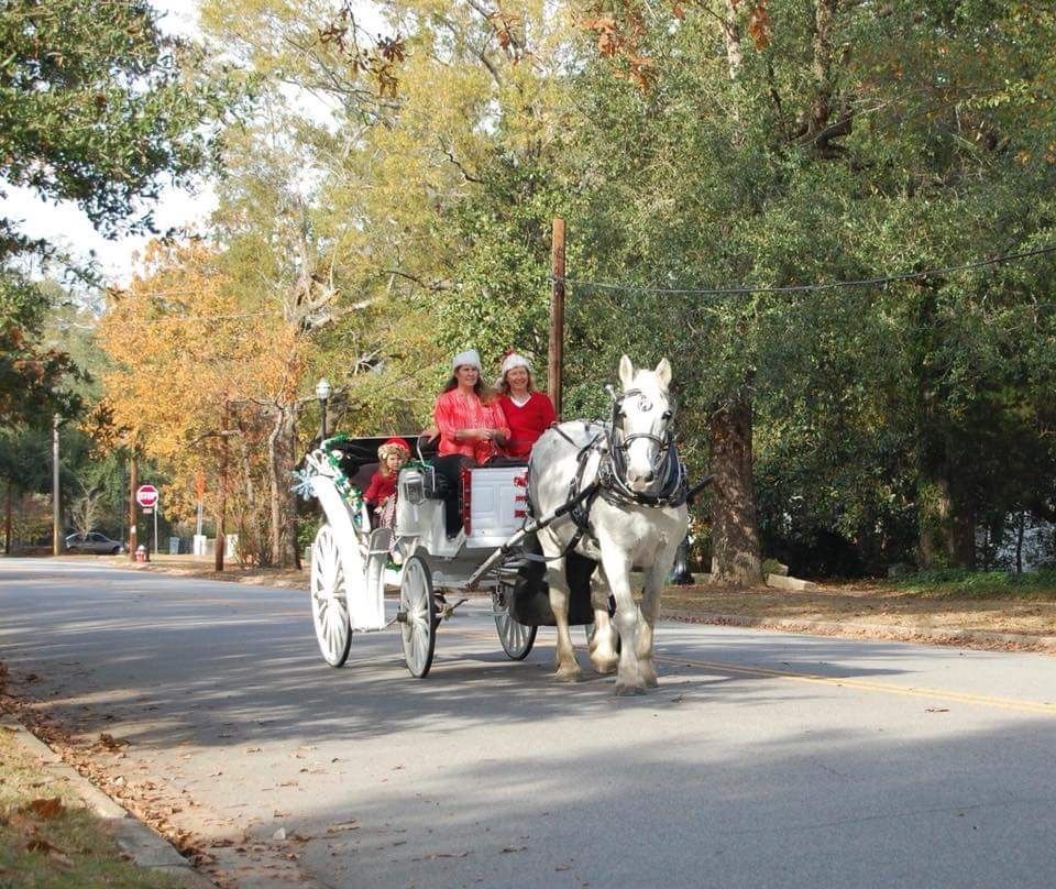 Horse-drawn carriage with two people in red jackets on a tree-lined road in autumn