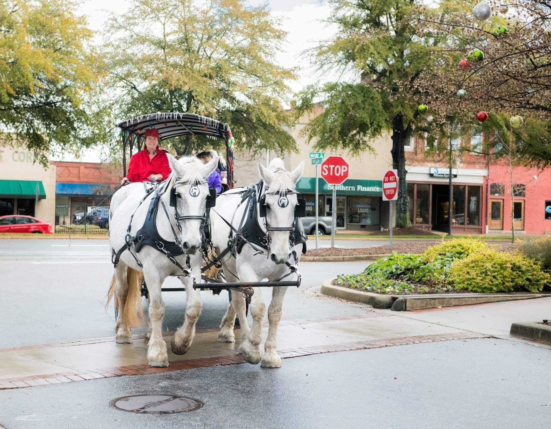 Horse-drawn carriage with white horses and a driver in red at a wet downtown street corner