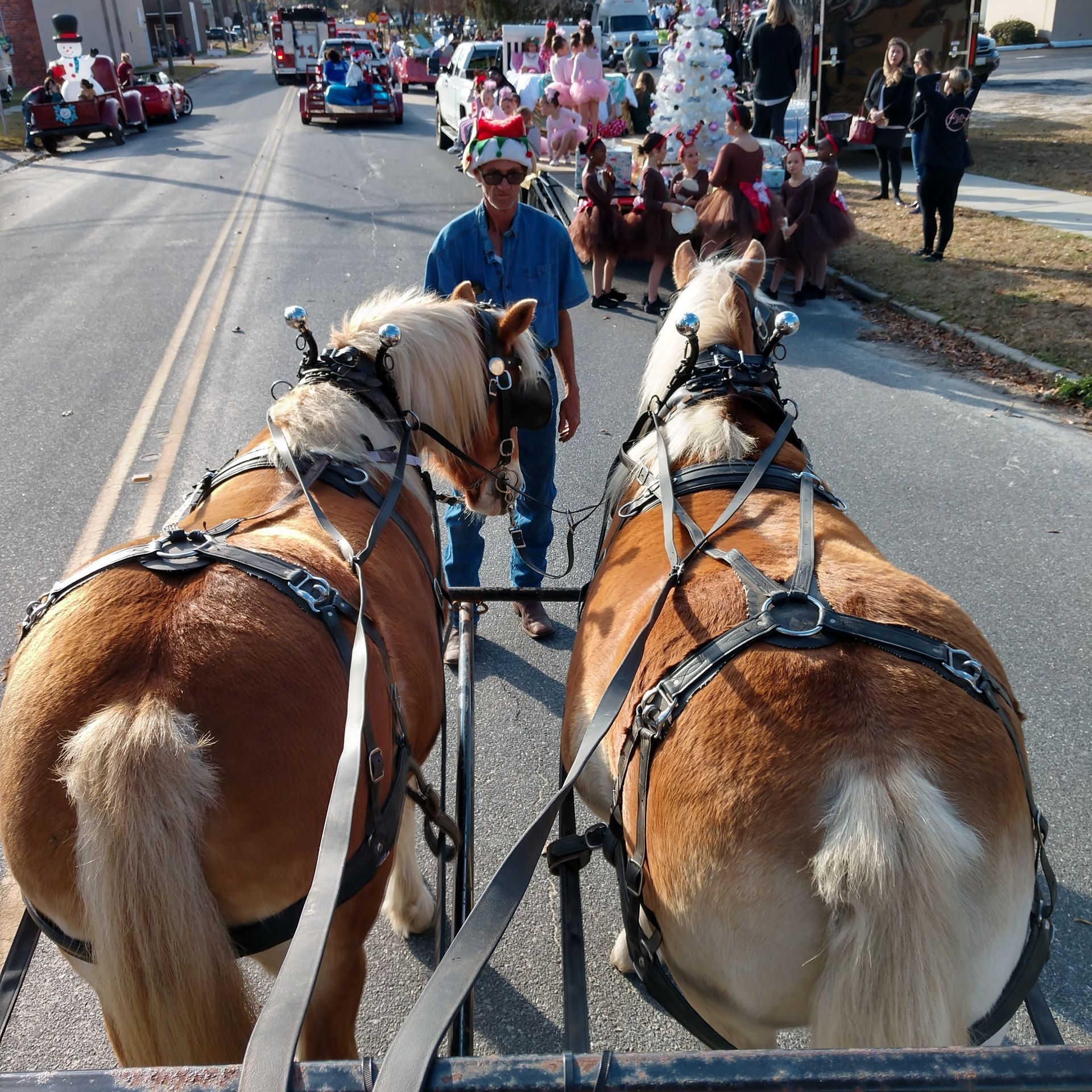 Two horses pulling a carriage on a city street, viewed from behind with people and cars ahead