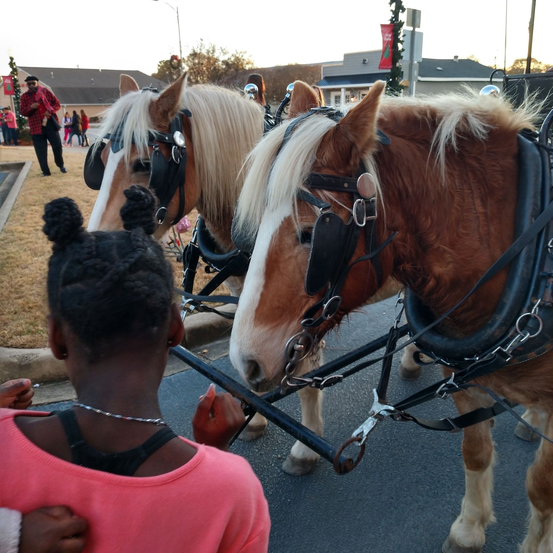 Two draft horses harnessed side by side on a street, with a child watching from the foreground.