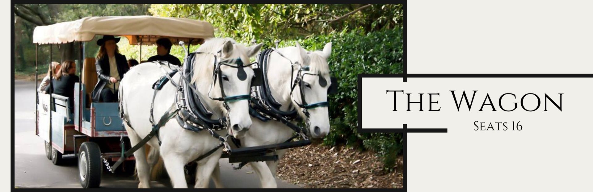 White horse-drawn wagon with passengers on a wooded path beside a “The Wagon” sign