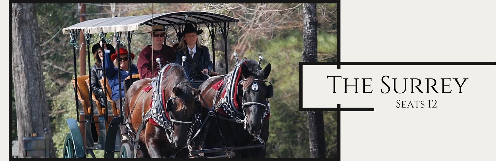 Horse-drawn carriage in a covered wagon ride at The Surrey, with trees in the background