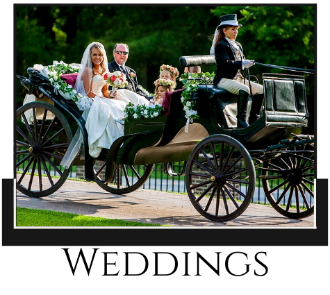 Horse-drawn wedding carriage with bride and groom, flowers, and driver in a park.