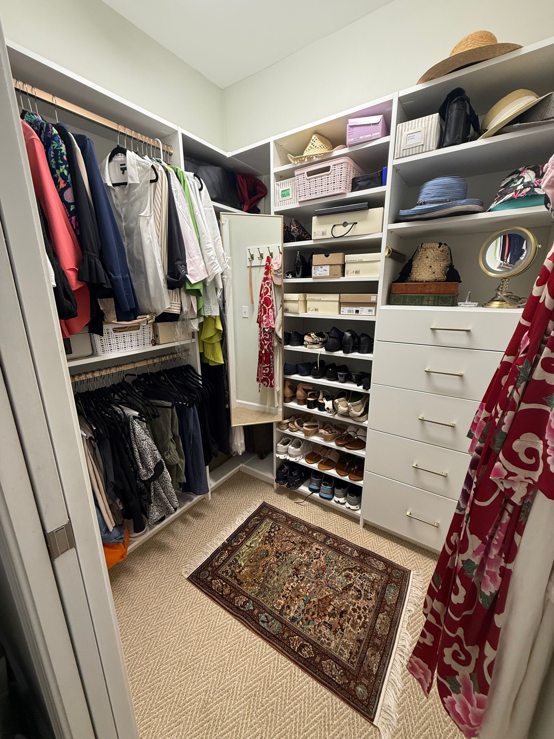 Walk-in closet with clothes on racks, shoes on shelves, and storage. Small rug on the floor.