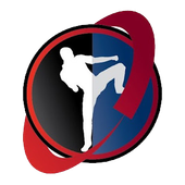 A silhouette of a person performing a high kick inside a circle split between black and blue, accented by a red swoosh.