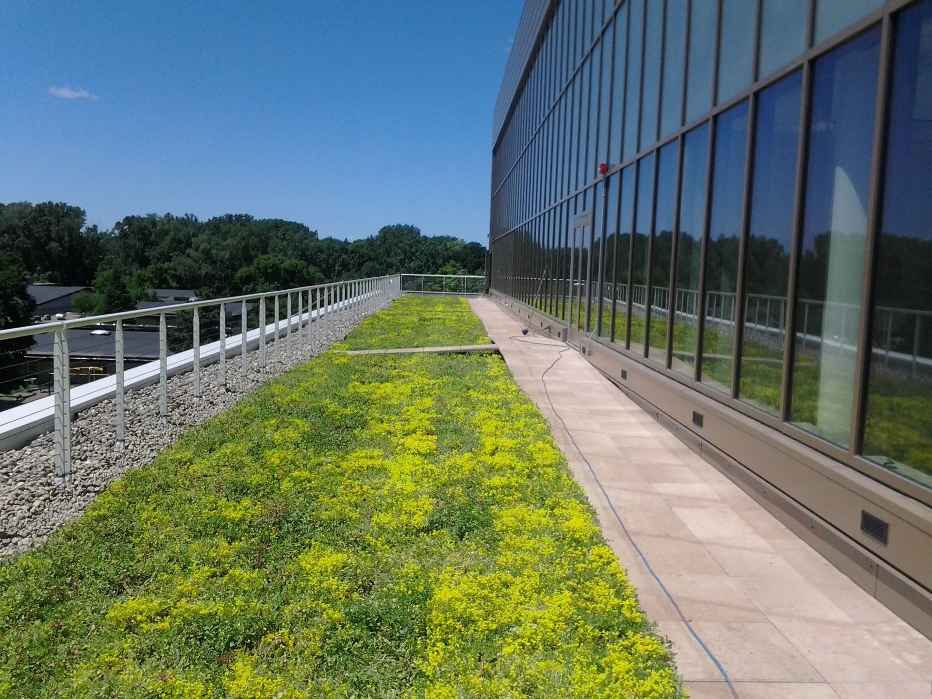 A walkway leading to a green roof of a building