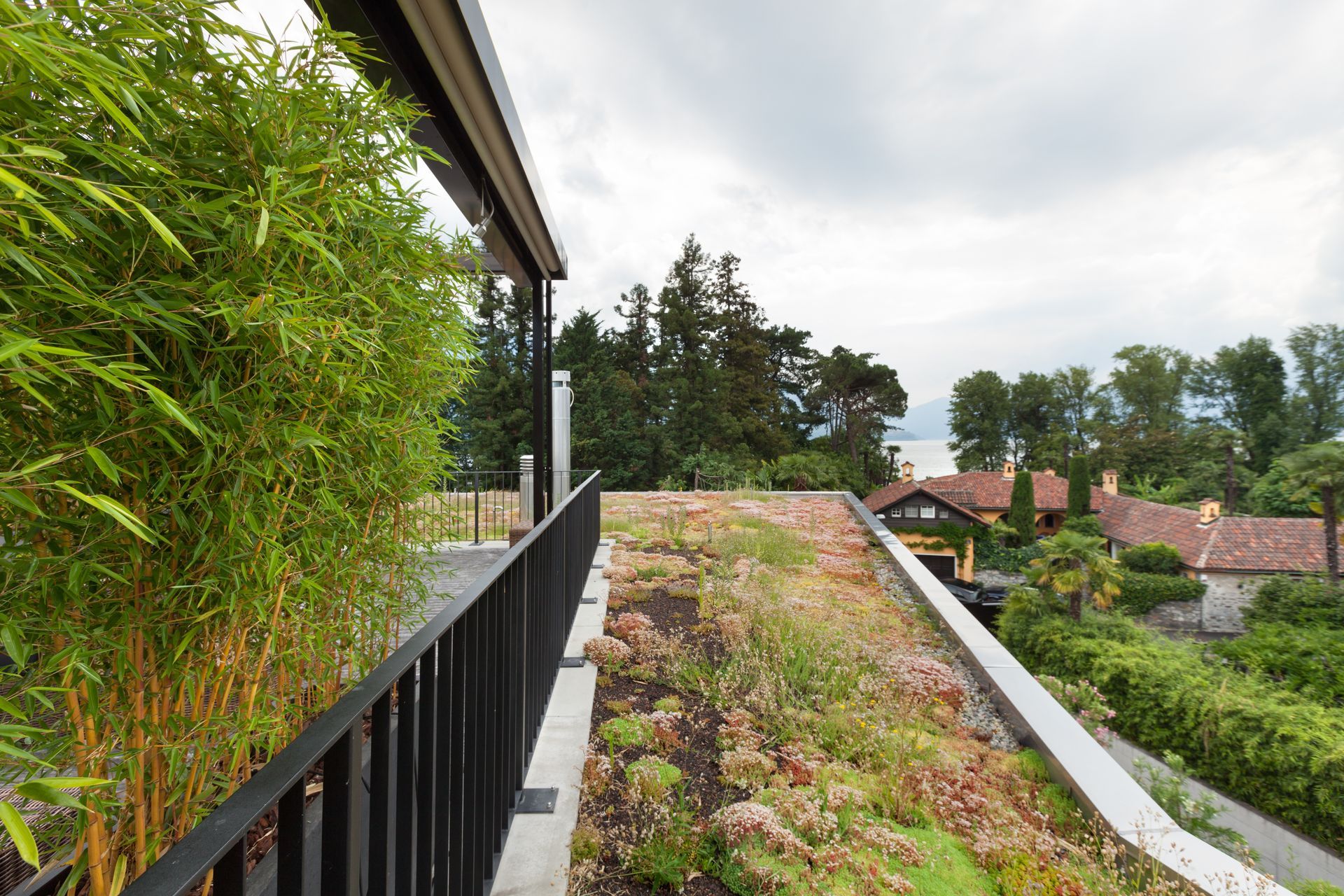 Rooftop garden with lush greenery, black railing, and neighboring houses under a cloudy sky.