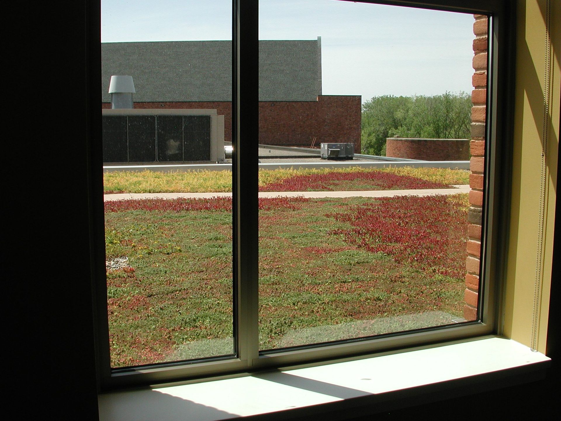 View through a window of a building's green roof with red and green plants. Brick building exterior visible.