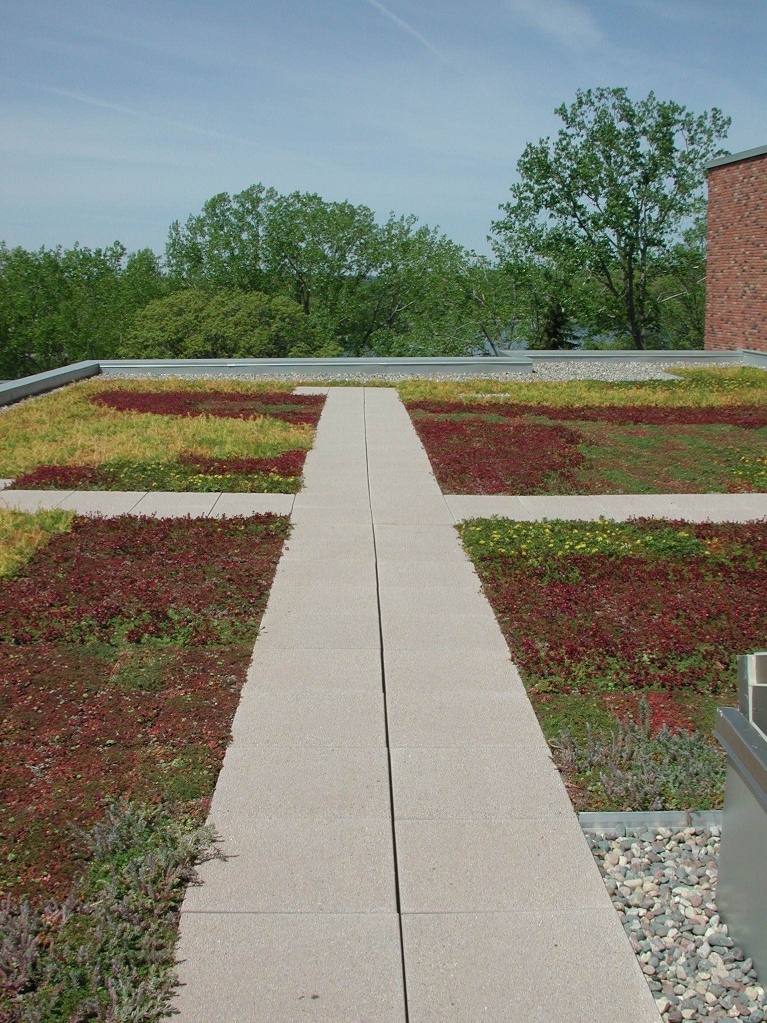 Concrete pathway on a green roof with various plants, a brick building and trees in the background.