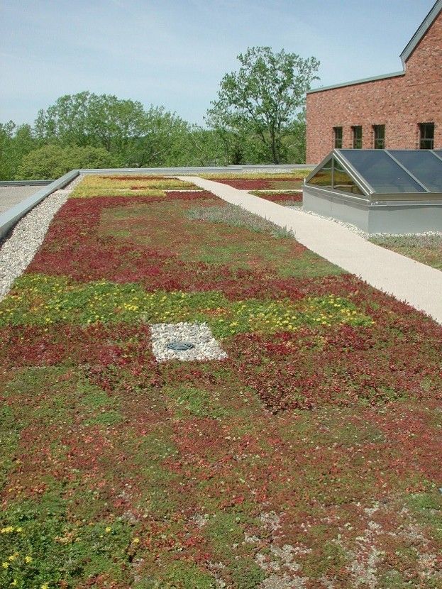 Green and red rooftop garden beside a brick building, with trees in the background. Green and red rooftop garden beside a brick building, with trees in the background.