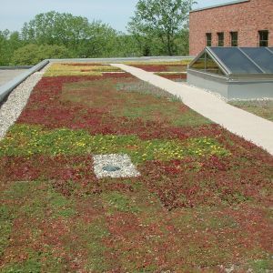 Bethel University 2 - Minneapolis, MN - Berwald Roofing