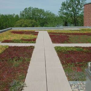 Bethel University 3 - Minneapolis, MN - Berwald Roofing