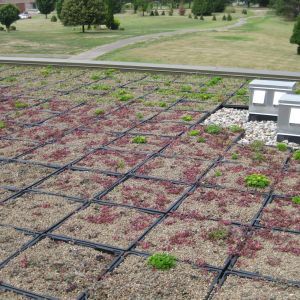 St. Paul Monastery 3 - Minneapolis, MN - Berwald Roofing