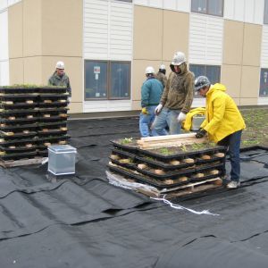St. Paul Monastery 11 - Minneapolis, MN - Berwald Roofing
