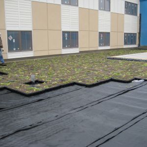 St. Paul Monastery 12 - Minneapolis, MN - Berwald Roofing