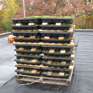 St. Paul Monastery 15 - Minneapolis, MN - Berwald Roofing