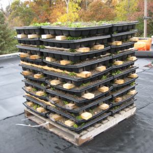 St. Paul Monastery 16 - Minneapolis, MN - Berwald Roofing