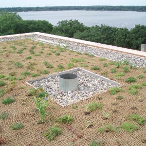 Green roof with vegetation, rocks, and a metal drain, overlooking water and trees.