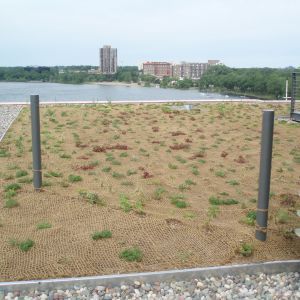 Rooftop garden with sparse green plants, overlooking a lake and buildings. Two gray posts are in the foreground.