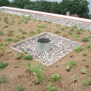 Green roof with plants, gravel, and a central drain.