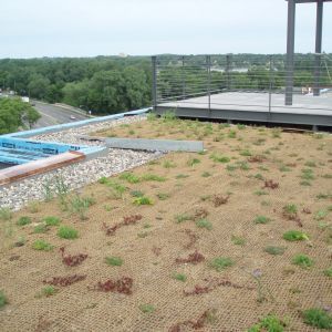Rooftop with a green roof covered in plants, gravel, and a metal deck with a view of trees and a road.