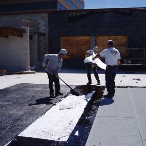 Thompson West 3 - Minneapolis, MN - Berwald Roofing