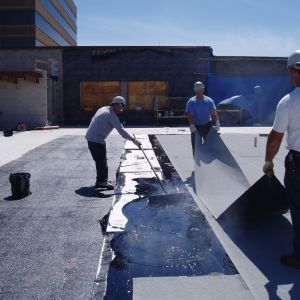 Thompson West 10 - Minneapolis, MN - Berwald Roofing