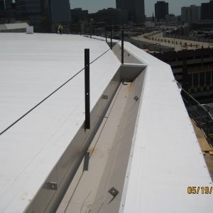 White roofing with black posts and a trough-like drain. City skyline in the background.