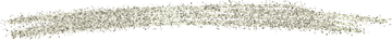 A close up of a furry object on a white background.