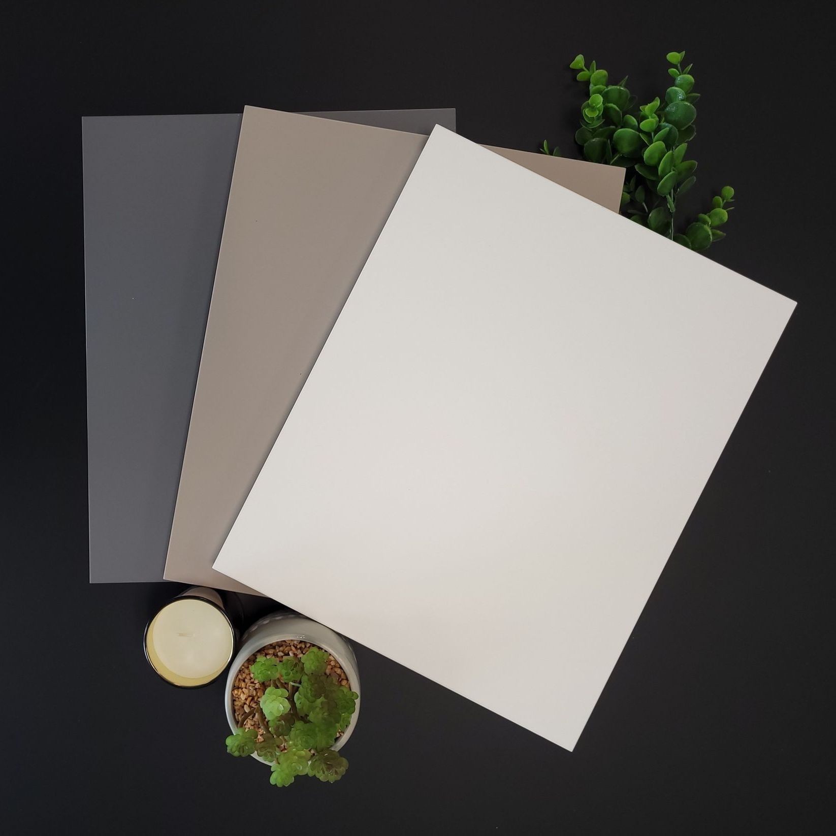 Quatre cartes rectangulaires de couleur neutre disposées sur une surface noire avec une petite succulente et une tranche de bois.
