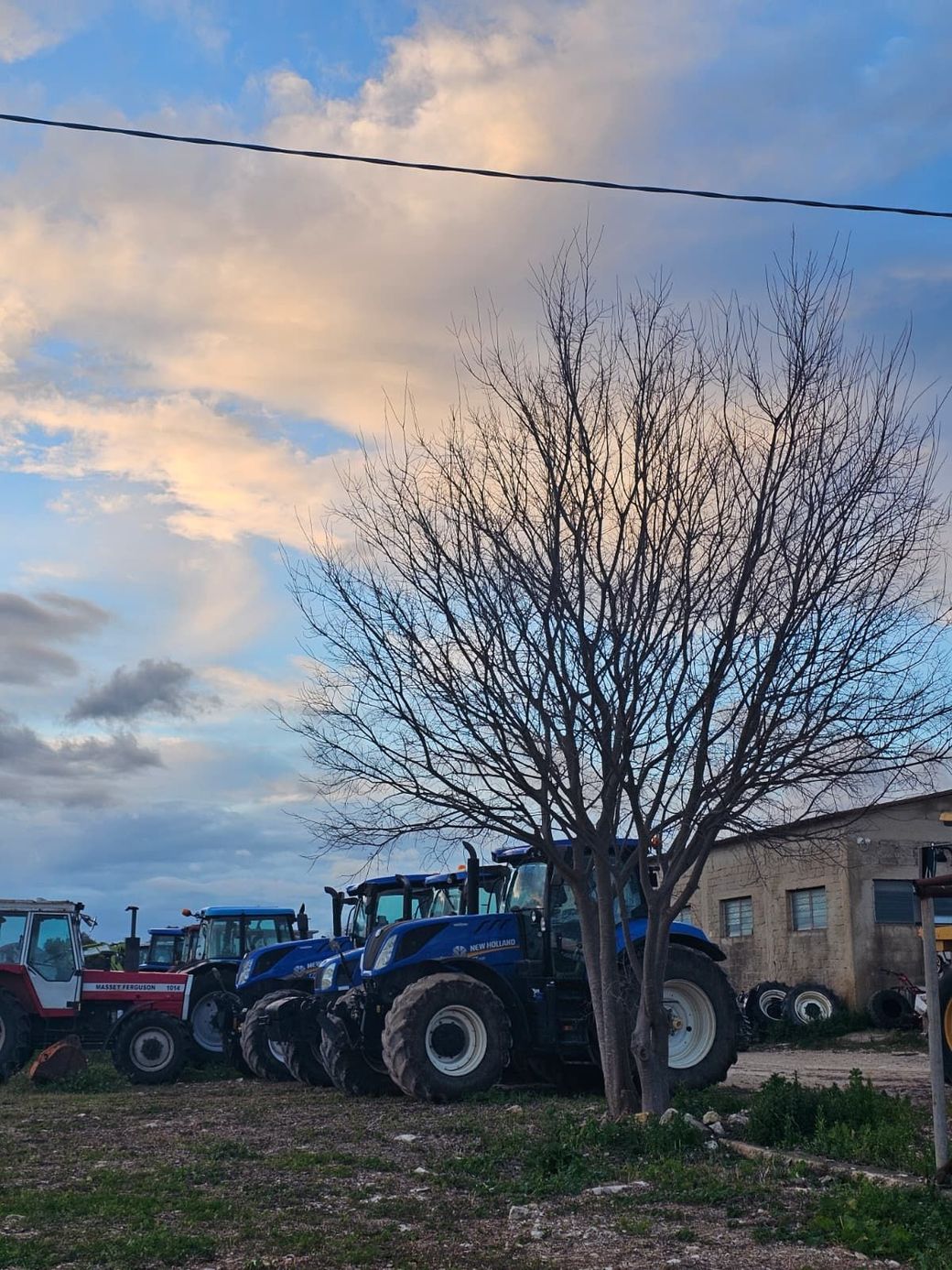Trattori blu parcheggiati accanto a un albero spoglio vicino a una casa colonica sotto un cielo serale nuvoloso