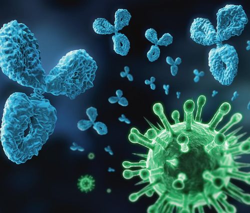Ein computergeneriertes Bild eines Virus und Antikörper