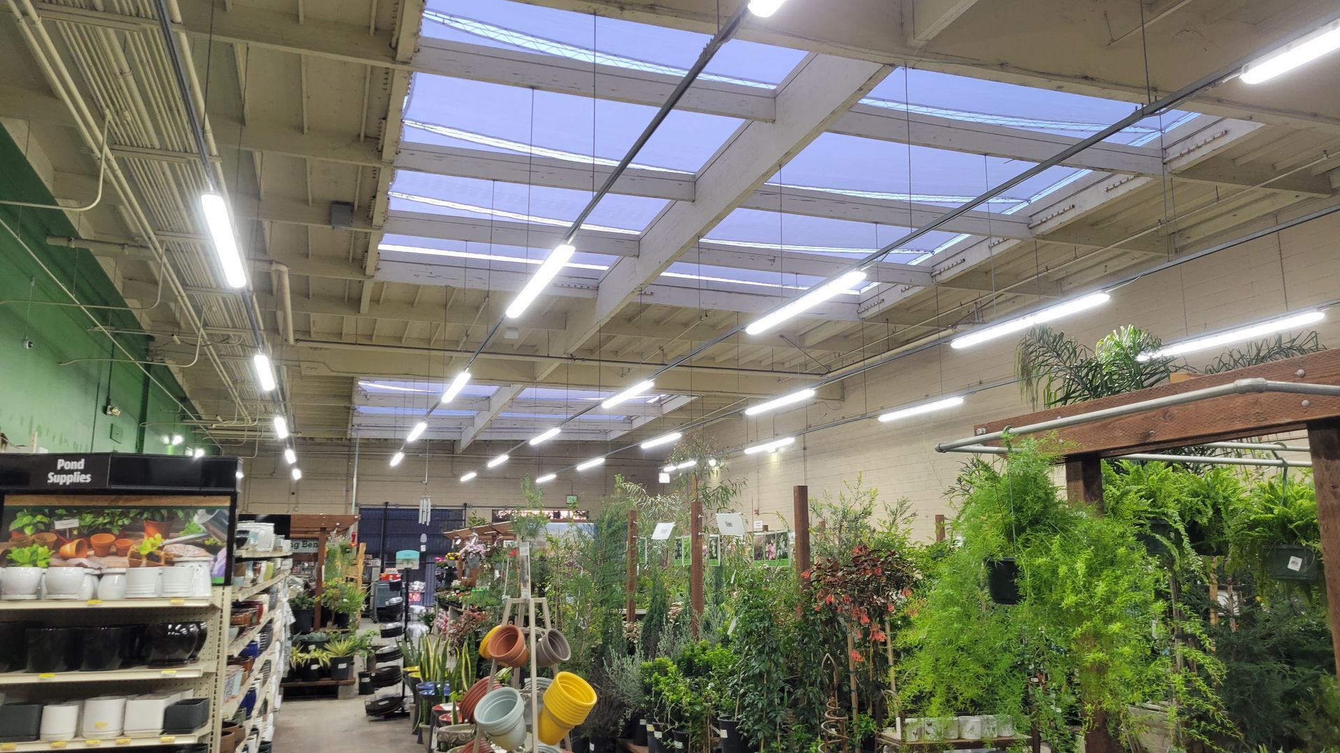 Indoor garden center with plants, flowers, and shopping carts under a bright skylit ceiling