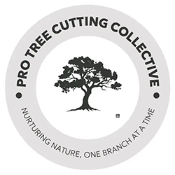 Circular logo with a tree silhouette and text: