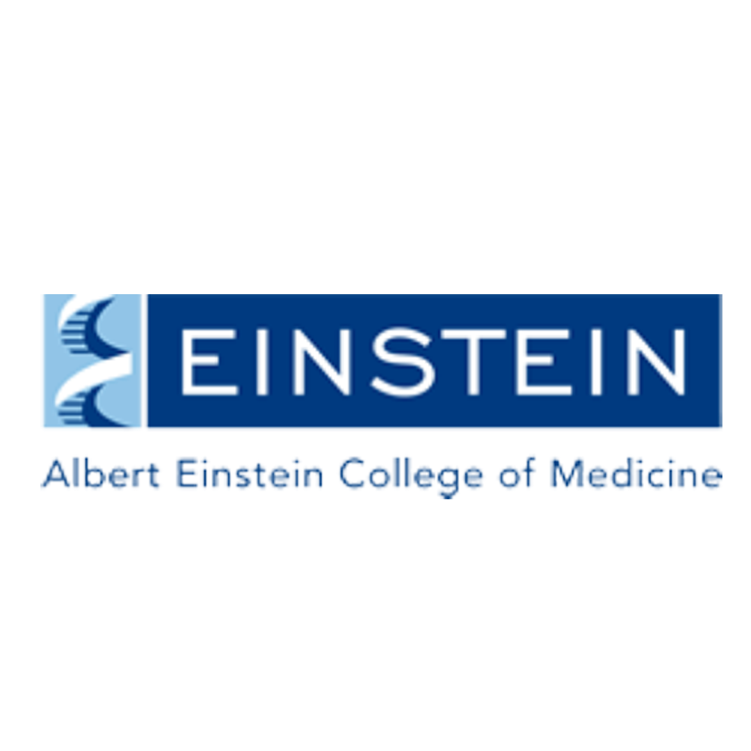 Albert Einstein College of Medicine logo in blue and white