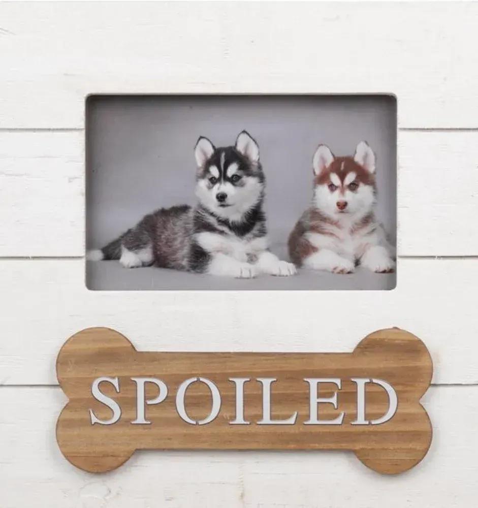 A picture of two husky puppies in a frame that says spoiled