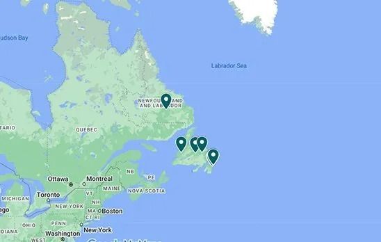 A map of Newfoundland, Canada with a bunch of pins on it