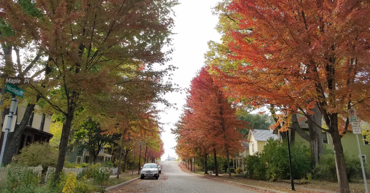 Minnesota neighborhood in the fall