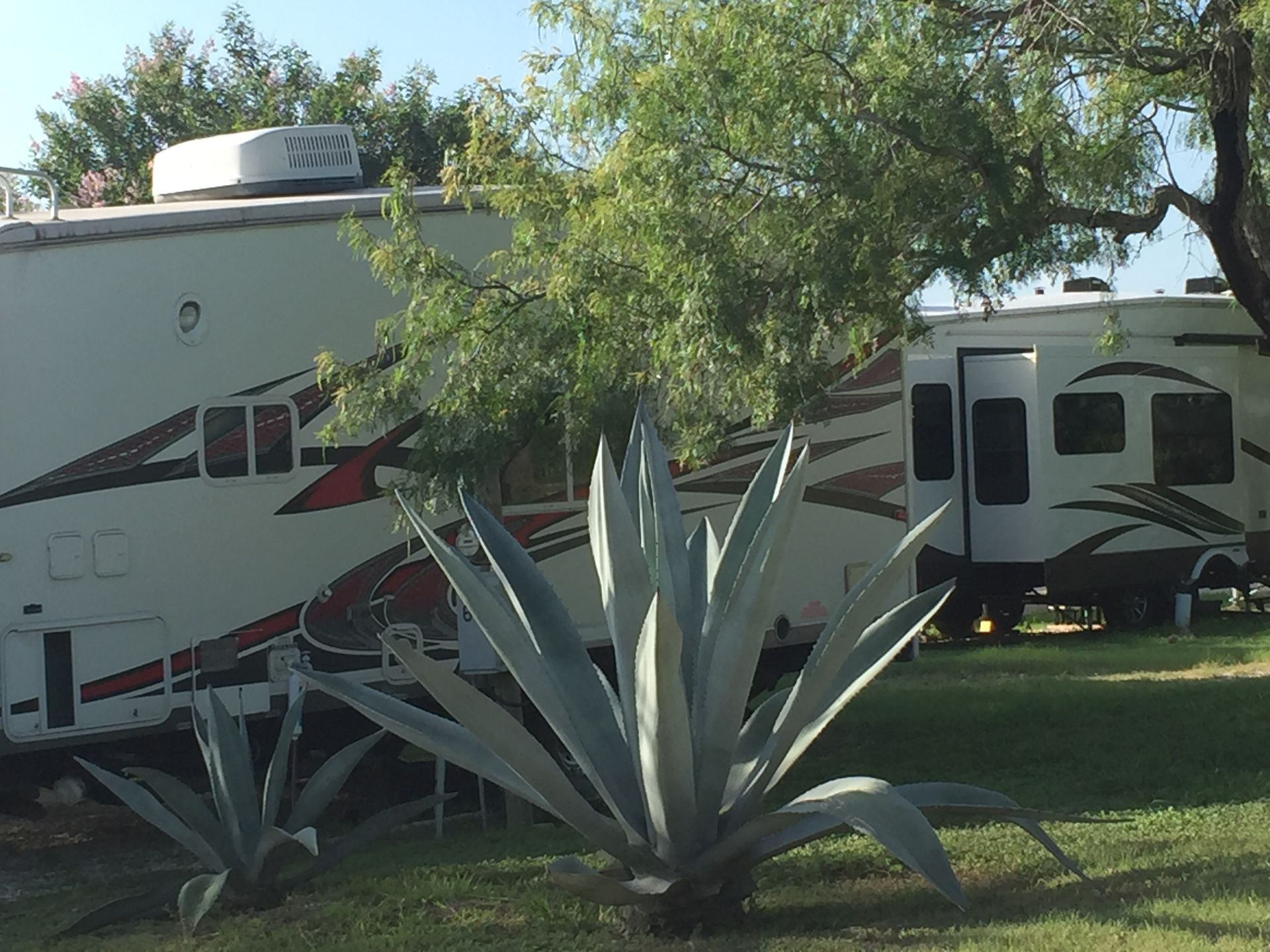 A couple of rvs parked next to each other in a grassy area