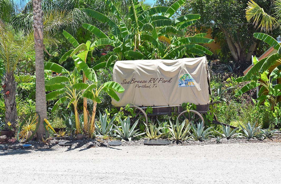 A wagon with a cover on it is sitting in the middle of a lush green forest.