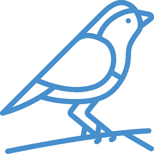 Bird Icon