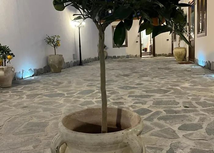 Cortile in pietra con un albero in una fioriera, fiancheggiato da piante in vaso e illuminato da luci soffuse a parete di notte.