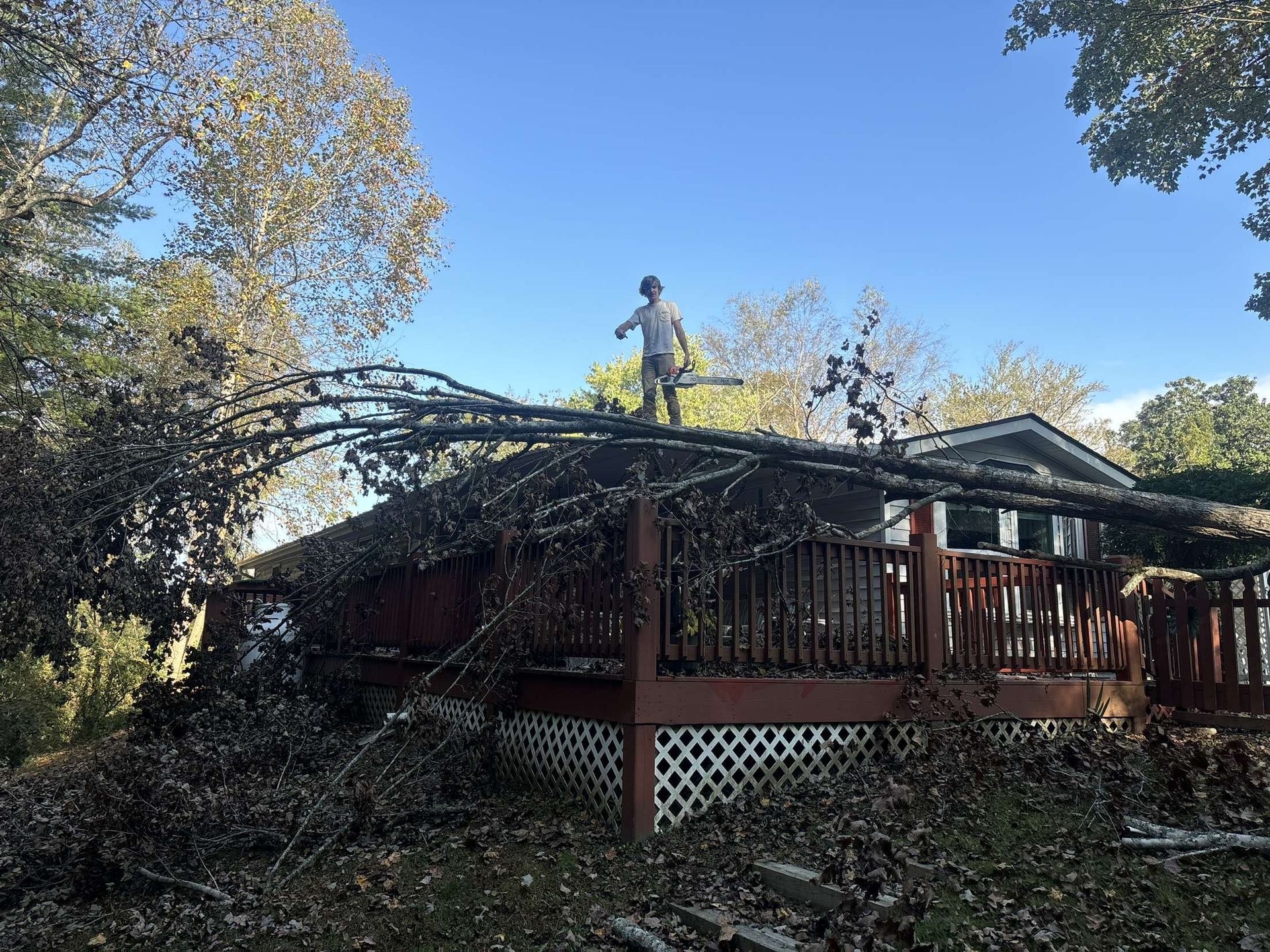 A house with a fallen tree in front of it