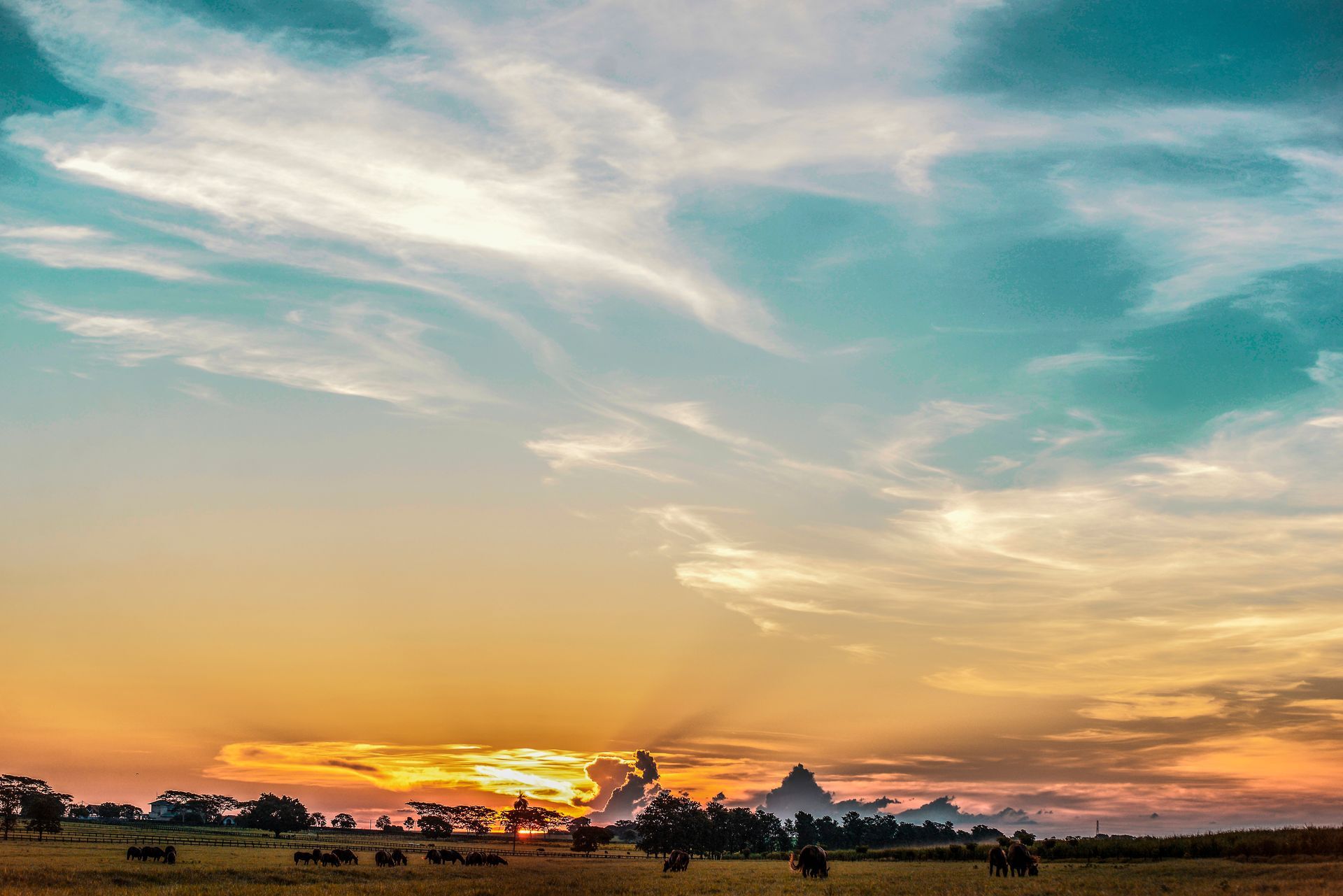 Pôr do sol sobre um campo, com céu azul e laranja e árvores em silhueta.